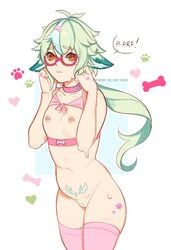 1girls 6lushy animal_ears breasts collar frown genshin_impact glasses green_hair nipple_piercing nude pierced_nipples piercing piercings pussy small_breasts solo sucrose_(genshin_impact) sweat uncensored