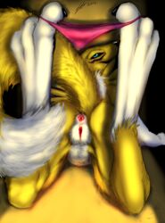 absurd_res anthro anus ass biped canid canine digimon digimon_(species) digital_media_(artwork) female fox fur genitals hi_res invalid_tag mammal pinup pose presenting presenting_anus presenting_hindquarters presenting_pussy pussy raised_tail renamon smile solo soulgryph