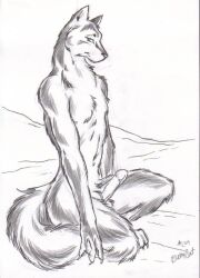 1boy 2004 anthro balls black_and_white bushycat canid canine claws erect_penis erection furry lupine male male_focus male_only pencil_(artwork) penis sketch solo solo_focus solo_male tail testicles traditional_art traditional_media traditional_media_(artwork) wolf