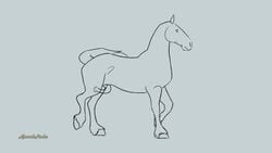 amanda13parker anatomically_correct anatomically_correct_genitalia anatomically_correct_penis animal_genitalia animal_penis animated equid equine equine_penis feral frame_by_frame genitals hi_res hooves horse male mammal penis solo solo_focus swinging_penis