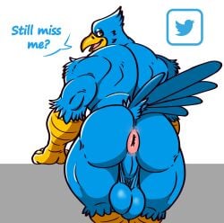 absurd_res anthro anus ass avian backsack balls beak big_balls big_butt bird blue_body blue_feathers feathers genitals hi_res male meme muscular muscular_anthro muscular_male perineum posstype presenting presenting_hindquarters saggy_balls scuted_arms scutes smile solo tail tail_feathers tweetfur twitter