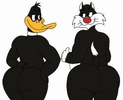 2males ass butt daffy_duck domestic_cat duck feline furry looney_tunes male male_only sylvester toony