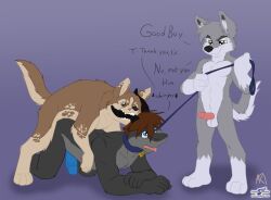 alpha_male canine cocky cocky_smile dominant dominant_male domination dragon gay horns leash male_only verbal verbal_submission wolfblade zoophilia