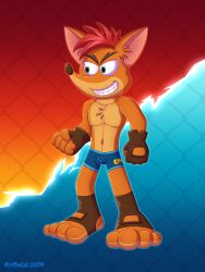 1boy 2024 absurd_res activision anklet anthro bandicoot bottomwear boxers bulge clothing crash_(series) crash_bandicoot fur furry furry_male furry_only gay gloves handwear hi_res jewelry male male_only mammal marsupial mma renthecat self_upload short_pants simple_background solo underwear video_games