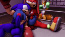 3boys 3d 3d_(artwork) anthro black_nose blue_body blue_eyes boxing boxing_gloves echidna fox gloves green_eyes hair hedgehog knuckles_the_echidna male male_only masturbation miles_tails_prower penis purple_eyes red_body red_hair sonic_(series) sonic_the_hedgehog sonicthebitch tan_body team_sonic white_body yellow_body