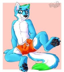 2020 absurd_res anthro balls_outline biped black_nose black_pawpads blue_body blue_ears blue_eyes blue_fur blue_hair boxers_(clothing) canid canine cheek_tuft chest_tuft claws clothed clothing crown cute_fangs dipstick_tail ear_tuft eyewear facial_tuft fur gaokun genital_outline glasses green_body green_fur green_hair hair hand_in_underwear hi_res leg_tuft looking_at_viewer male male_only mammal multicolored_tail one_leg_up orange_clothing orange_underwear partially_clothed pawpads paws pink_background presenting_bulge raised_leg simple_background solo toe_claws tuft underwear watermark white_body white_ears white_fur