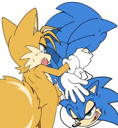 sonic the hedgehog from sega by senshion