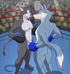 animal_genitalia anthro ass athletic athletic_anthro athletic_male balls black_boxing_gloves black_gloves blue_boxing_gloves blue_gloves boxing boxing_gloves boxing_gloves_only boxing_ring canid canine canis casual_nudity clothing denlusty digital_media_(artwork) domestic_cat duo eye_contact feet felid feline felis fighting_ring ftm_crossgender fully_sheathed fur genitals handwear handwear_only hi_res illumination_entertainment looking_at_another male mammal mostly_nude nipples nude porsha_crystal rule_63 sheath sing_(movie) standing tail toes wolf yellow_eyes