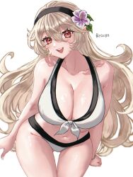 corrin (fire emblem) from fire emblem by zqzbq