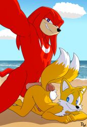 knuckles the echidna from sega by darkwolf79