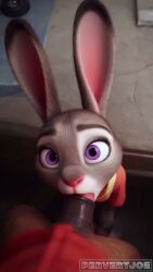 1boy1girl 34 2026 3d 3d_animation adorable ai ai_generated all_the_way_to_the_base animal_genitalia animal_penis animated animation anthro anthro_on_anthro anthro_penetrated anthro_penetrating anthro_penetrating_anthro asphyxiation at babe balls beauty best best_quality big big_cock big_dick big_penis bitch blowjob bodily bodily_fluids boner breathing bunny bunny_girl cgi choking cock cum cum_drenched cum_drip cum_eating cum_in_mouth cum_in_pussy cum_in_throat cum_inside cum_leaking cum_on_tongue cum_swallowing cumdrip cute cute_face deep deep_penetration deep_throat deepthroat dick drenched drip dripping dripping_cum drool drooling duo eating equine equine_genitalia equine_penis erect erect_penis erection extreme extreme_deepthroat eyes face face_fuck face_fucking facials fellatio female female_anthro fluids fuck fucking fur furry furry_ears furry_female furry_male gagged gagging generated genital genital_fluids genitals giving giving_head gorgeous hard hard_fuck hardcore hd head heavy heavy_breathing hi hi_res high high_quality high_resolution highres horny horny_female horse_penis horsecock hot hot_babe huge huge_balls huge_cock in innocent inside interspecies jizz judy_hopps large large_balls large_penis leaking leaking_cum licking licking_penis lips long long_ears long_penis looking looking_at_penis looking_pleasured massive massive_penis masterpiece messy messy_facials moan moaning moaning_in_pleasure mouth mp4 naughty naughty_face noises nsfw on oral oral_creampie oral_penetration oral_sex orgasm passionate patreon patreon_username penetrating penetration penis penis_in_mouth penis_lick perfect pervertjoe pleasure pleasure_face pleasured porn precum precum_drip pretty quality rabbit res resolution rolling rolling_eyes rough rough_sex rule rule_34 saliva seductive sensual sex sexy sloppy slut sound sounds sperm straight straight_sex sucking sucking_penis swallowing swallowing_cum sweat tagme thick thick_penis throat throat_fuck thrusting tongue twitter twitter_username uncensored username vein veins veiny veiny_penis video wet wet_sounds wild yiff zootopia