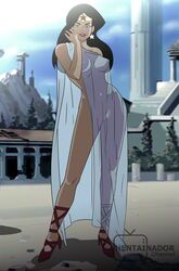 diana of themyscira from dc by hentainador