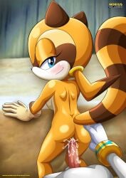 anthro ass balls bbmbbf blush breasts cum cum_in_pussy cum_inside female male male/female marine_the_raccoon mobian_(species) mobius_unleashed nude palcomix penis pussy sega sex silver_the_hedgehog sonic_(series) sonic_the_hedgehog_(series) vaginal_penetration vaginal_sex