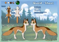 all_fours animal_genitalia belly brown_body brown_fur canid canine feral forest fox fully_sheathed fur furry genitals green_eyes male mammal model_sheet plant quaid_(rukifox) rukifox scar sheath solo tree white_belly