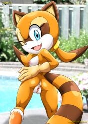 1girls anthro anus ass bbmbbf breasts female female_only gloves looking_at_viewer marine_the_raccoon mobius_unleashed nipples nude one_eye_closed open_mouth palcomix pussy sega solo sonic_(series) sonic_the_hedgehog_(series) tongue