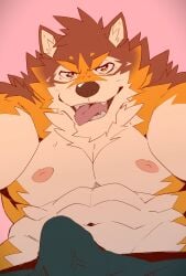 <3_eyes abs absurd_res anthro aroused barrel_(live_a_hero) bedroom_eyes brown_body brown_fur canid canine canis clothed clothing erection erection_under_clothing fur furry heart heylaw21 hi_res lifewonders live_a_hero looking_at_viewer male mammal muscular muscular_anthro narrowed_eyes navel nipples pecs seductive shirtless solo tongue underwear wolf