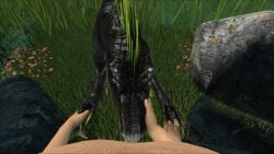 16:9 3d 3d_(artwork) animated anthro ark_survival_evolved digital_art digital_media digital_media_(artwork) dinosaur dromaeosaurid duo fellatio feral first_person_view genital_danger_play hand_holding hi_res huge_filesize human human_on_feral humanoid kissing male_on_anthro male_on_feral male_pov mammal mawplay no_sound open_mouth oral penile reptile scalie sex short_playtime source_filmmaker tagme tallion teeth theropod utahraptor velociraptor video widescreen zoophilia