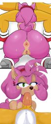 amy_rose ass_focus collaboration ear_piercing eulipotyphlan eyes_half_open fellatio fox green_eyes headband lipstick lipstick_on_penis on_knees oral pink_fur pizzasnap red_headband sir_cums_a_lot sitting sonic_(series) spread_legs tails tails veiny_penis white_background yellow_fur