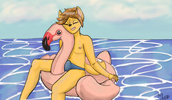 anthro avian bird bottomwear bulge canid canine clothing cloud erection flamingo flotation_device fox fur genital_outline hair hi_res inflatable inflatable_ride inflatable_toy male mammal maxwell_longtail mostly_nude nipples open_mouth outside penis_outline pool_float pool_toy sea seaside simple_background smile solo swimwear water