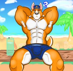 absurd_res akita animal_crossing anthro armpit_hair beach body_hair bottle bulge canid canine canis clothing copper_(animal_crossing) domestic_dog furniture genital_outline hands_behind_head hat headgear headwear hi_res male male_only mammal muscular nintendo notedwolf penis_outline police_officer poster presenting raised_arm seaside sitting solo solo_male spitz table video_games water_bottle