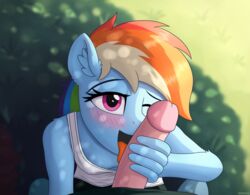 rainbow dash (mlp) from friendship is magic by irisarco