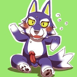 animal_crossing anthro balls blue_body blue_fur blush bodily_fluids canid canine canis erection feet fur genitals hi_res humanoid_genitalia lobo_(animal_crossing) male mammal nikunabe1989 nintendo nude paws penis solo sweat video_games wolf