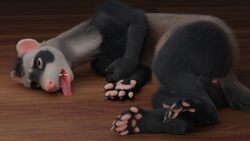 absurd_res anthro anus ascaniololololol ass barefoot claws digital_media_(artwork) domestic_ferret feet fingers fur hi_res lying male mammal mustela mustelid musteline nude paws sleeping solo tired tired_eyes toes tongue true_musteline unconscious