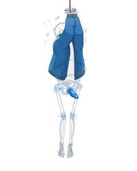 1boy animated_skeleton blue_blush blue_penis blush blushing bottomless bound_wrists ectopenis jacket jpeg_artifacts male male_only nsfwgarbagedump_(artist) panting penis sans simple_background skeleton solo solo_male tied_up tied_wrists undertail undertale undertale_(series) undertale_sans white_background