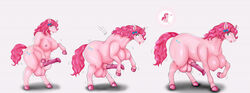 2021 animal_genitalia animal_penis anthro anthro_to_feral breasts busty_feral duo equid equine erection esotericer feral friendship_is_magic furry futanari genitals hasbro heart hooves horse mammal my_little_pony nipples nude penis pinkie_pie_(mlp) sequence simple_background solo_focus standing surprise testicles tongue tongue_out transformation white_background