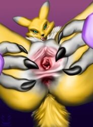 absurd_res anthro anus between_legs clitoris close-up corinoch_(artist) digimon digimon_(species) female first_person_view genitals glistening glistening_genitalia hi_res inviting licking licking_lips looking_at_viewer presenting presenting_anus presenting_pussy pussy renamon solo spread_anus spread_legs spread_pussy spreading tongue tongue_out