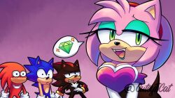 amy rose from sonic (series)