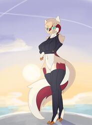 anthro blue_eyes bottomless clothed clothing dullyarts female genitals hi_res leg_warmers legwear linoone nintendo pokémon_(species) pokémorph pokemon pussy solo sweater topwear video_games