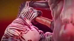 3d 3d_animation animated anthro blowjob blue_eyes deepthroat face_fucking facefuck furry hair holding_head long_hair male/male male_only muscular muscular_male oral pecs pectorals penis rubber_(artist) sound striped_body tagme throat_fuck thrusting thrusting_into_mouth tongue tongue_out tongue_out_blowjob video zane_(rubber) zebra