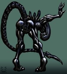 alien alien_(franchise) andromorph anthro anus ass bent_over corinoch_(artist) cuntboy genitals hand_between_legs hi_res intersex leaning_on_wall looking_at_viewer male presenting presenting_anus presenting_hindquarters presenting_pussy pussy solo spread_pussy spreading xenomorph