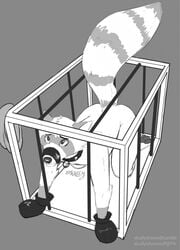 all_fours anthro black_and_white busterlark_(character) cage collar collar_only eyebrows fur grey_background hi_res looking_up male mammal monochrome muzzle_(object) muzzled nude procyonid raccoon simple_background skully solo submissive submissive_male