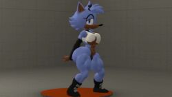 3d 3d_model animated black_panties blue_fur boots bouncing_breasts clipping crop_top dancing fan_character gesture meme mp4 music navel partially_clothed sega silvertilver solo sonic_(series) sonic_oc sound sound_edit source_filmmaker tagme thick_thighs tilver_(character) video