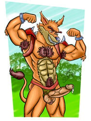 1boy 3:4 abs absurd_res activision anthro balls clothing crash_(series) dasyuromorph erection genitals hi_res jockstrap lobo_serchwolf male male_only mammal marsupial muscular muscular_male penis solo thylacine tiny_tiger underwear video_games