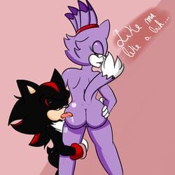 anthro ass black_body blaze_the_cat domestic_cat eyelashes female gloves half-closed_eyes hedgehog licking licking_ass looking_back male pink_background ponytail purple_body purple_hair red_body red_eyes shadow_the_hedgehog sonic_(series) soulyagami64 standing text tongue tongue_out yellow_eyes