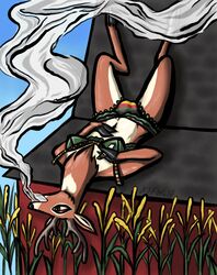 1futa absurd_res anthro antlers ball_bulge balls balls_in_panties balls_under_clothes barn blue_sky bra breasts bulge capreoline cervid clothed clothing cornfield cornstalks drugs farm flaccid furry futa_only futa_sans_pussy futanari genital_outline hi_res hooves horn intersex lace_bra lace_panties lingerie lying mammal marijuana nsfwulf on_back panties panty_bulge penis penis_bulge penis_in_panties penis_outline penis_under_clothes relaxing roof rooftop sky small_breasts smoke smoking smoking_weed solo underwear underwear_only white-tailed_deer