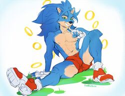 abs anthro balls_outline bottomwear bulge clothed clothing cocky erection erection_under_clothing finger_on_chin fingerless_gloves footwear genital_outline gloves grass handwear looking_at_viewer male male_only muscular muscular_anthro muscular_male penis_outline plant ring shoes shorts sitting smile solo sonic_(series) sonic_the_hedgehog sonic_the_hedgehog_(series) thebigslick topless topless_male