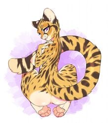 anthro anus ass breasts cheetah edit enjoipandas feline female female_only fluffy fluffy_tail fur mammal multicolored_fur nipples nude open_mouth open_smile pawpads purple_eyes simple_background smile solo tail teeth yellow_fur