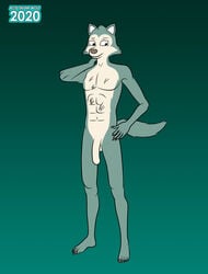 acidskunkwolf anthro beastars canid canine canis claws fur genitals hi_res humanoid_genitalia humanoid_penis legoshi_(beastars) male mammal nude penis pose solo standing wolf