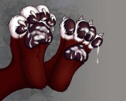 albator_(fern/alba) anthro bodily_fluids canid canine claws cum foot_fetish fox fur genital_fluids grey_background male mammal pawpads paws red_body red_fur simple_background solo white_body white_fur yokokato