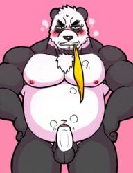 2019 anthro balls bashira_o belly black_body black_fur blush edit erection fur genitals giant_panda hi_res humanoid_genitalia humanoid_hands humanoid_penis male mammal moobs navel nipples overweight overweight_anthro overweight_male penis pink_background simple_background solo uncensored ursid white_body white_fur