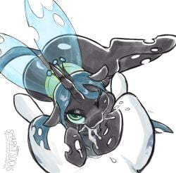 1_horn 2026 animal_genitalia animal_penis artist_name ass black_body black_horn black_penis blue_eyes blue_hair blue_tail blue_wings bodily_fluids changeling cum cum_in_mouth cum_inside cum_splatter cutie_mark digital_media_(artwork) duo equid equine equine_genitalia equine_penis erection eyelashes faceless_character faceless_feral faceless_male fellatio female female_feral female_focus female_penetrated feral feral_on_feral feral_penetrated feral_penetrating feral_penetrating_feral first_person_view friendship_is_magic genital_fluids genitals glistening glistening_butt glistening_eyes green_eyes hair hasbro hi_res hole_(anatomy) horn looking_at_viewer looking_up looking_up_at_viewer lying male male/female male_feral male_penetrating male_penetrating_female mammal medial_ring multicolored_eyes my_little_pony mythological_creature mythological_equine mythology on_back on_side one_eye_closed oral penetrating_pov penetration penile penis queen_chrysalis_(mlp) sex sharkysocks shining_armor_(mlp) simple_background solo_focus tail text translucent translucent_wings two_tone_eyes unicorn vein veiny_penis white_background white_body wings