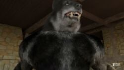 anthro anthro_dominating_human black_fur canine canine_genitalia canine_on_human canine_penis dark_fur dog_ears dog_penis female_pov first_person_view furry furry_male grey_fur handjob human_female human_on_anthro knot light-skinned_female light_skin male_anthro/female_human moaning pov straight stroking_penis tagme taker_pov video vr34studio werewolf wolf