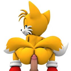 ai_generated animal ass back_view blue_eyes fox furry gay looking_at_viewer penis solo sonic_(series) sonic_the_hedgehog_(series) source_filmmaker tails tails_the_fox yellow_body