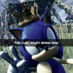 blue_fur cute green_eyes smile sonic_the_hedgehog