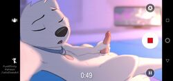 1boy animated balls closed_eyes collar cum cum_on_body cumshot furry letodoesart male male_only masturbation pebble_(letodoesart) penis recording solo sound tagme video