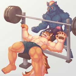 ! abs anthro barrel_(live-a-hero) becoming_erect better_version_at_source blue_body blue_fur blush bodily_fluids brown_body brown_fur bulge canid canine canis duo erection exercise fire flaming_hair flaming_mane fur furlong_(live-a-hero) genital_fluids genitals gym hyaenid live-a-hero male male/male mammal multicolored_body multicolored_fur muscular muscular_anthro muscular_male nipples orange_body orange_fur pecs penis precum pseudo_hair pseudo_mane ronci tan_body tan_fur weightlifting wolf workout workout_clothing workout_equipment